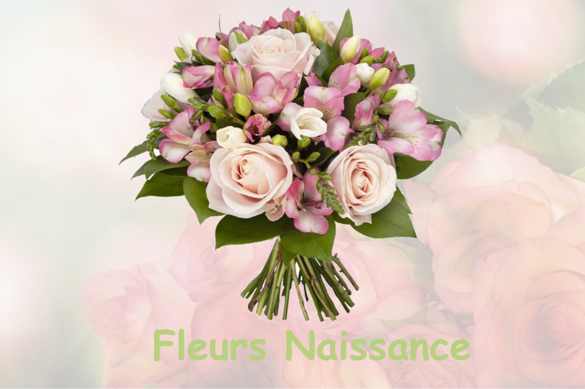 fleurs naissance SAINT-MARTIN-DU-FRENE