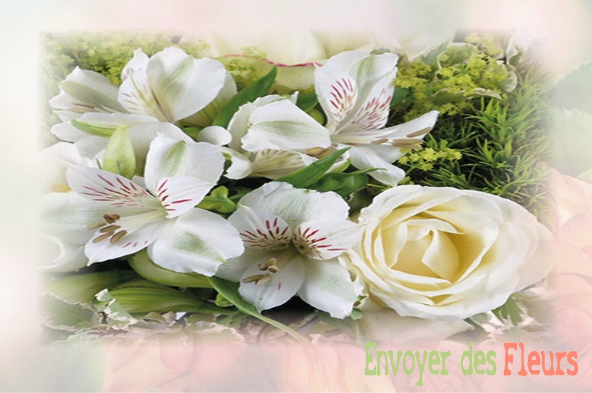 envoyer des fleurs à à SAINT-MARTIN-DU-FRENE